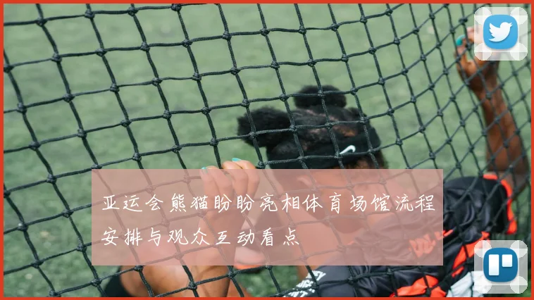 亚运会熊猫盼盼亮相体育场馆流程安排与观众互动看点