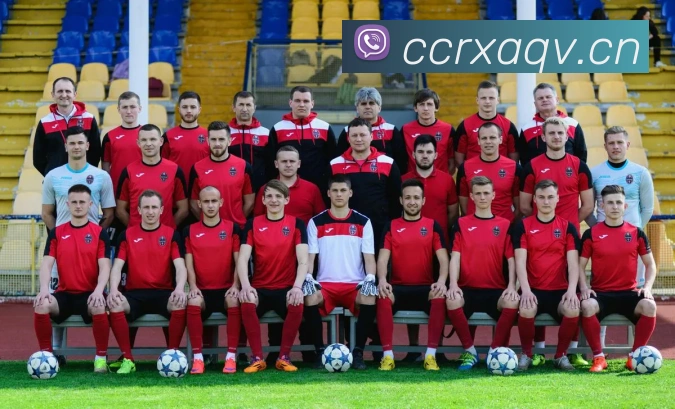 开云综合app官网登录品牌故事