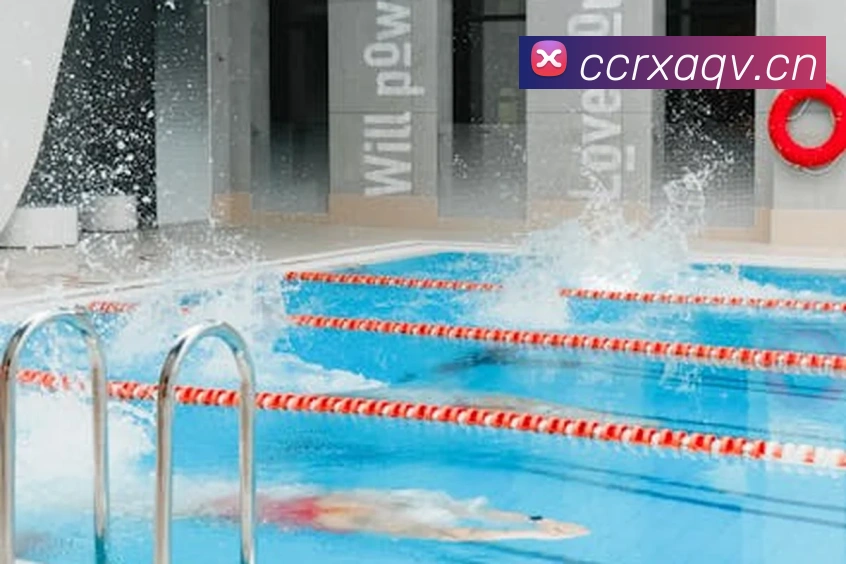 开云综合app官网登录服务体系